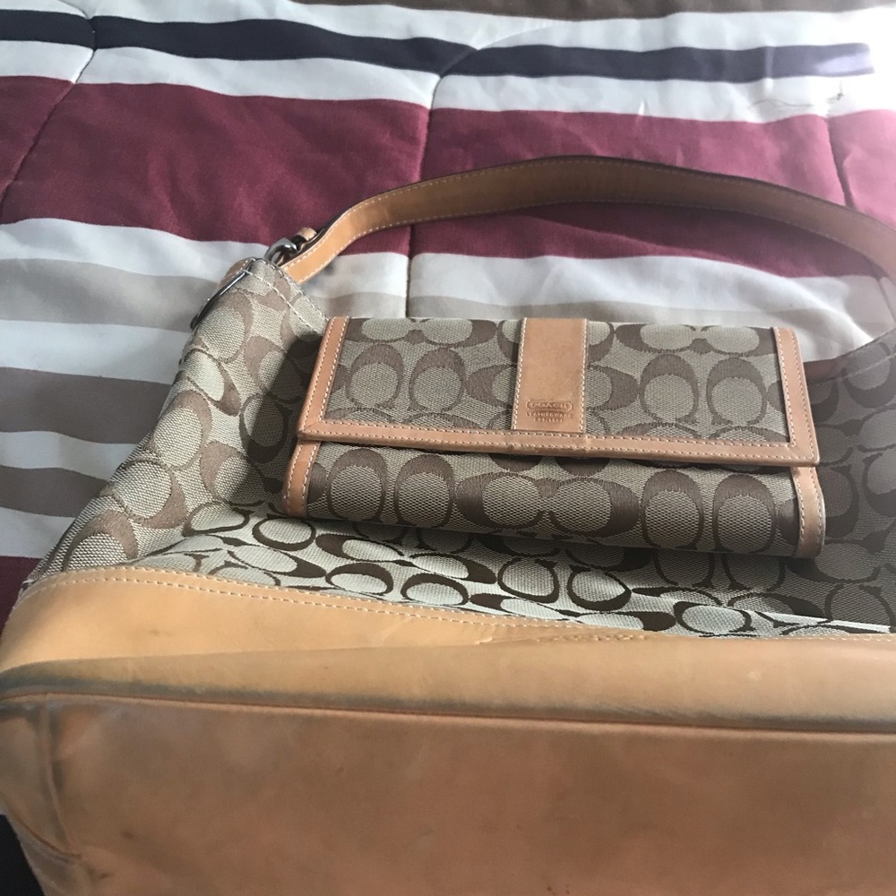 Purse and wallet